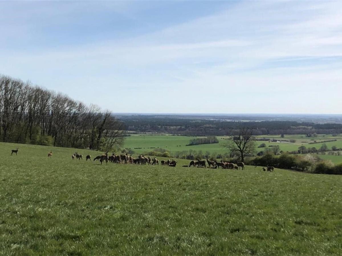 Cosy Lincs Wolds cottage in picturesque Tealby Esterno foto